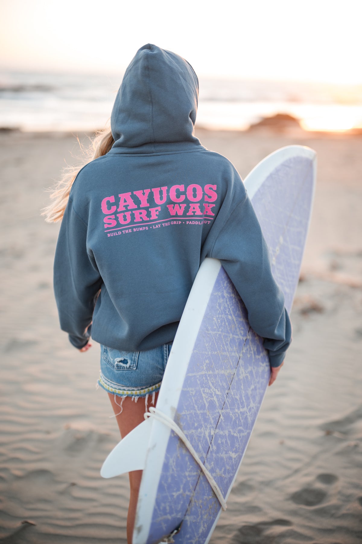 Cayucos Surf Wax Heritage Hoodie | Storm Blue · Pink